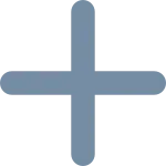 Plus S SVG Icon